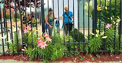 Gardening