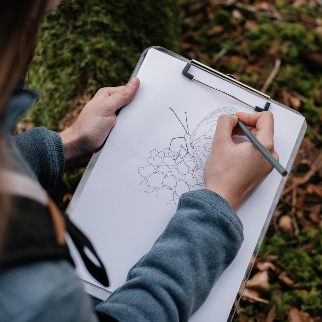 Sit & Sketch: A Mindful Drawing Workshop at Hancock Community Backyard Park