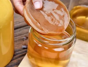 Sustainable Living Series: A Novel Brew Kombucha for Beginners