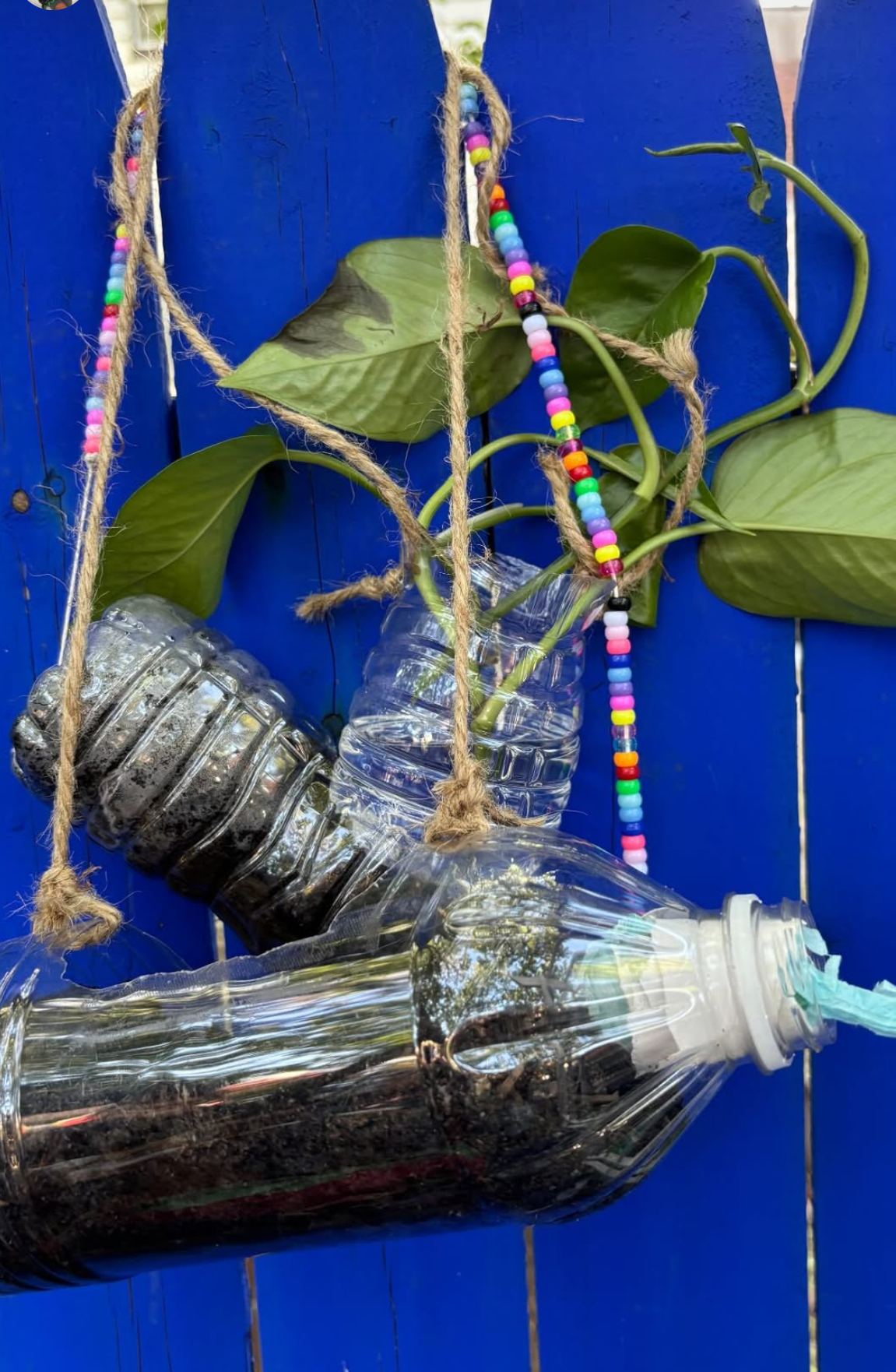 Justice Craft Climate Justice Crafts for Teens & Kids | Brooklyn Public Library