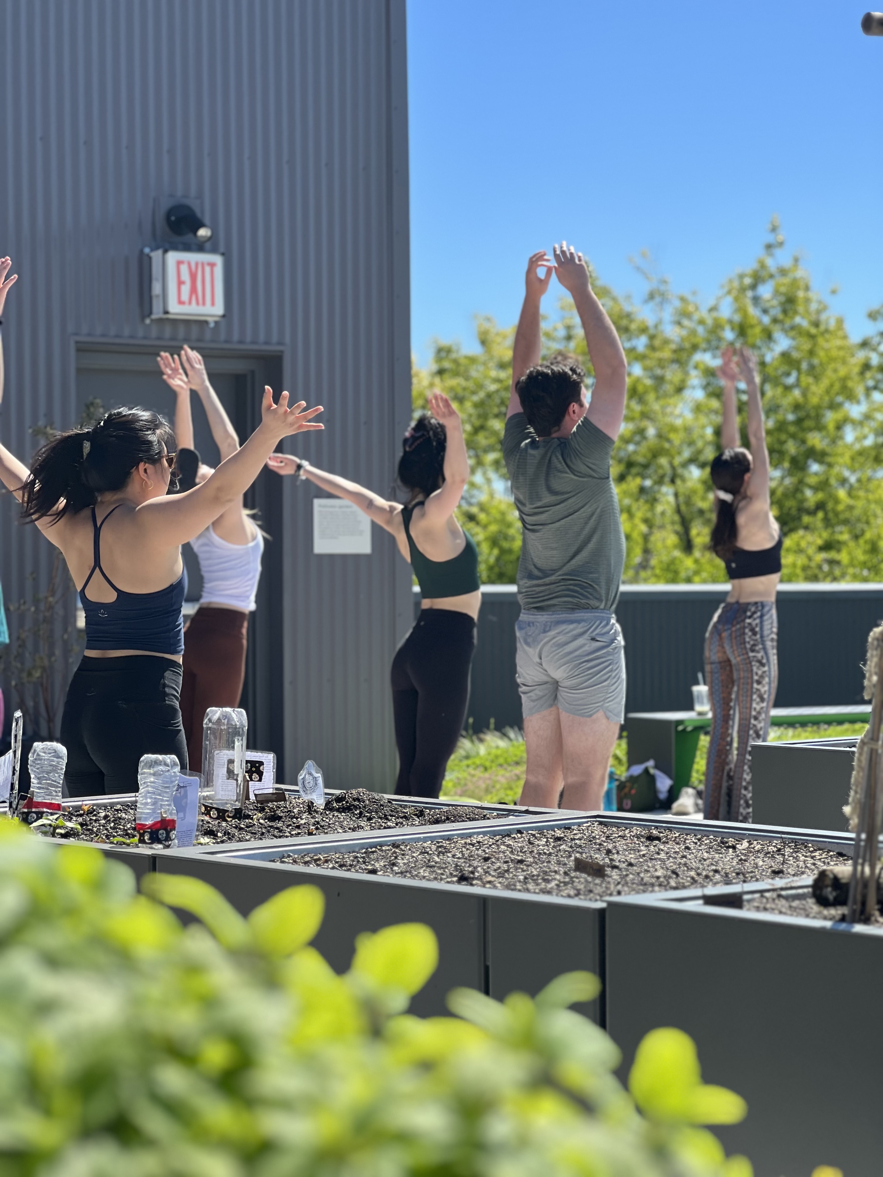 Rooftop Yoga with New Love City