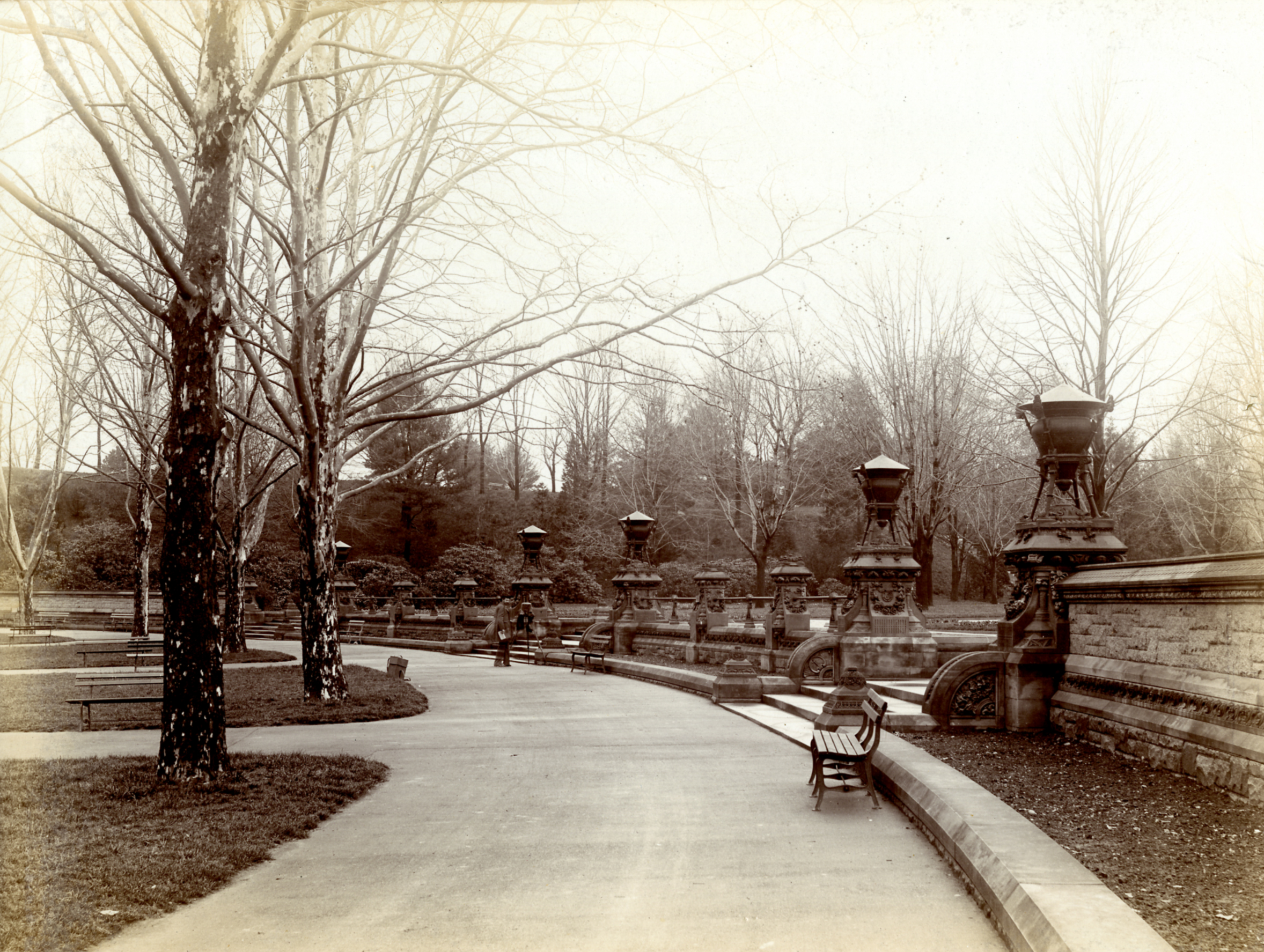 Black and white photograph of one of the terraces in Concert Grove during winter.
