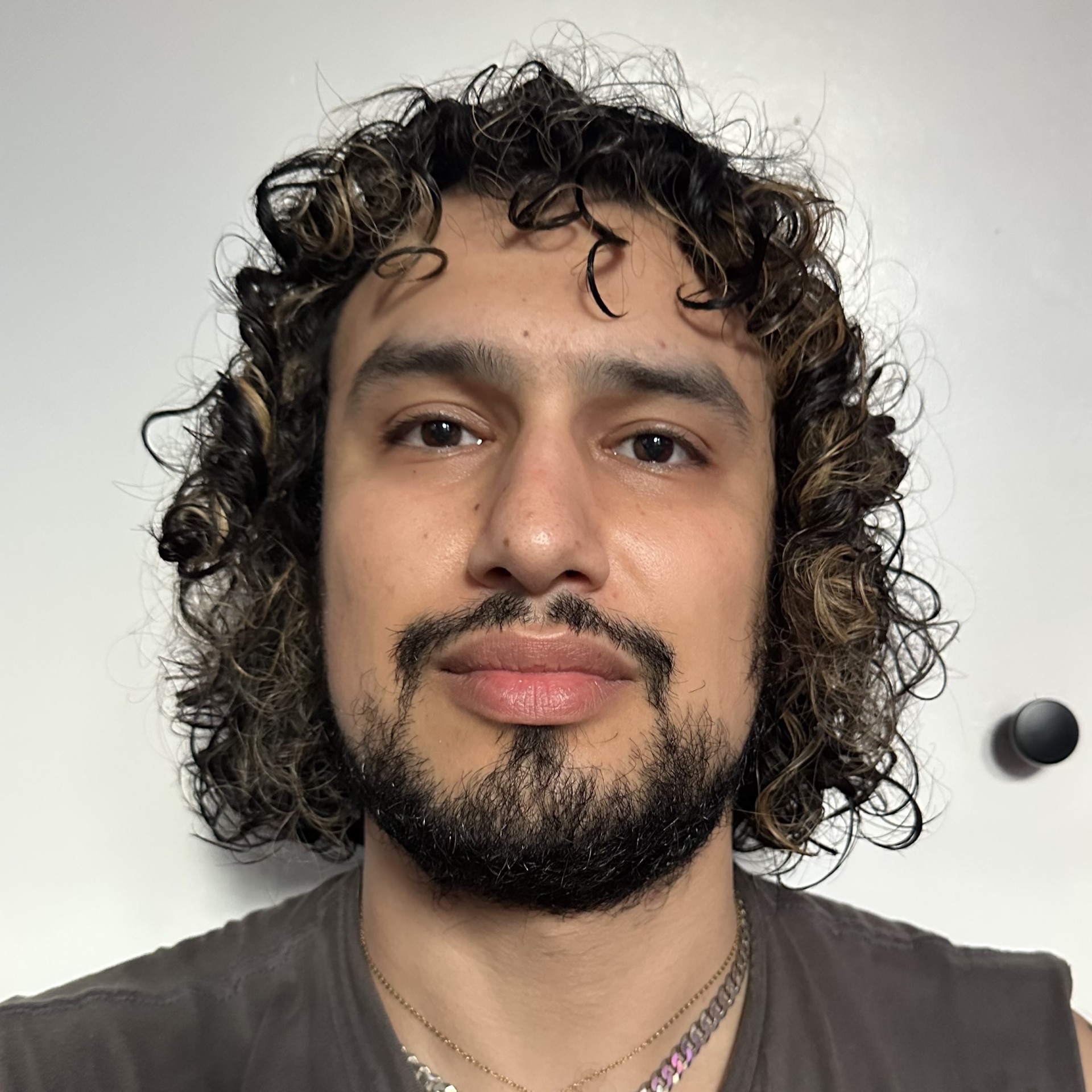 Arash Diba