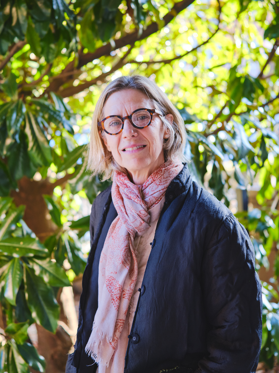 Darcey Steinke