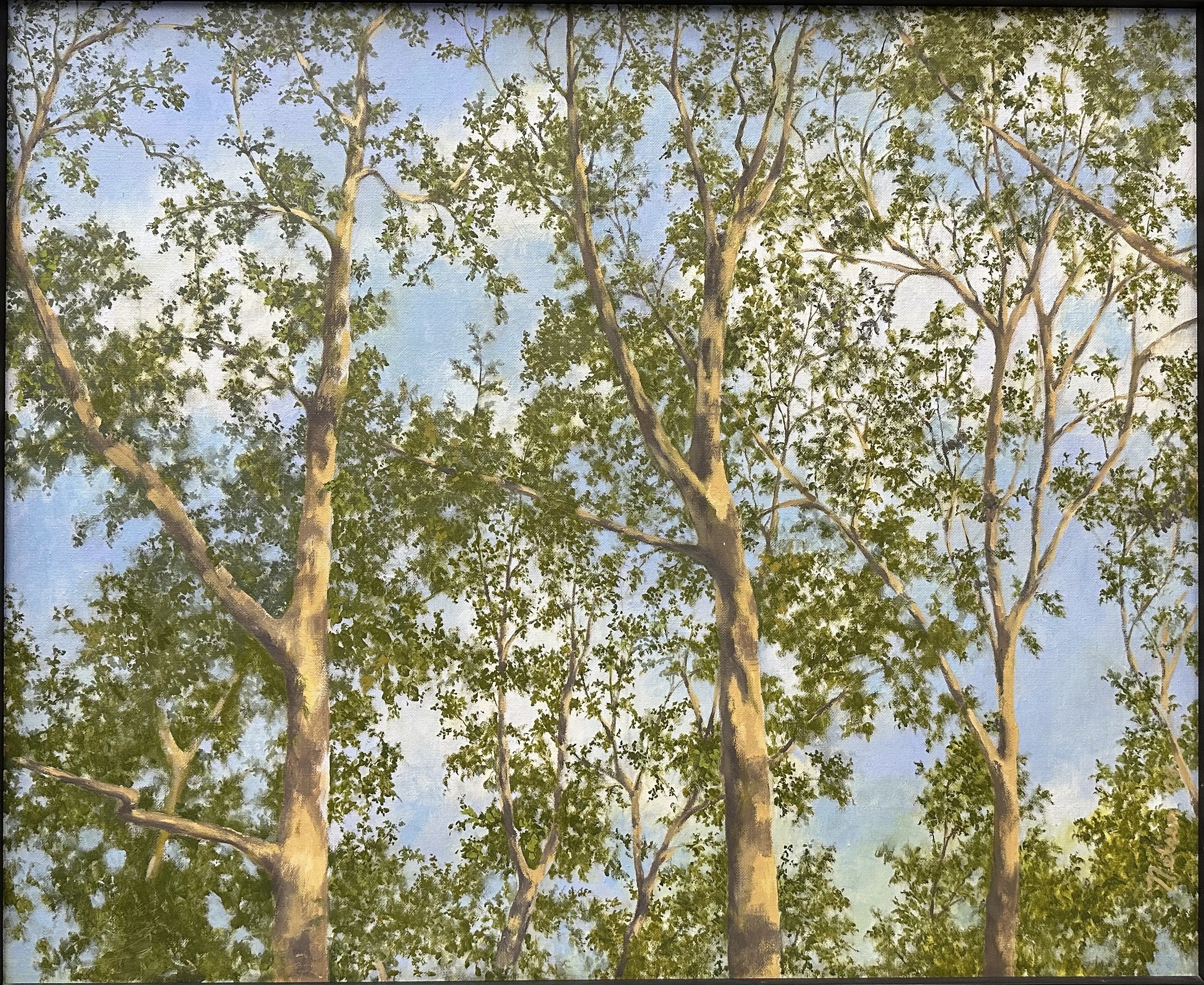 Painting of London plane trees against a blue sky with a few clouds