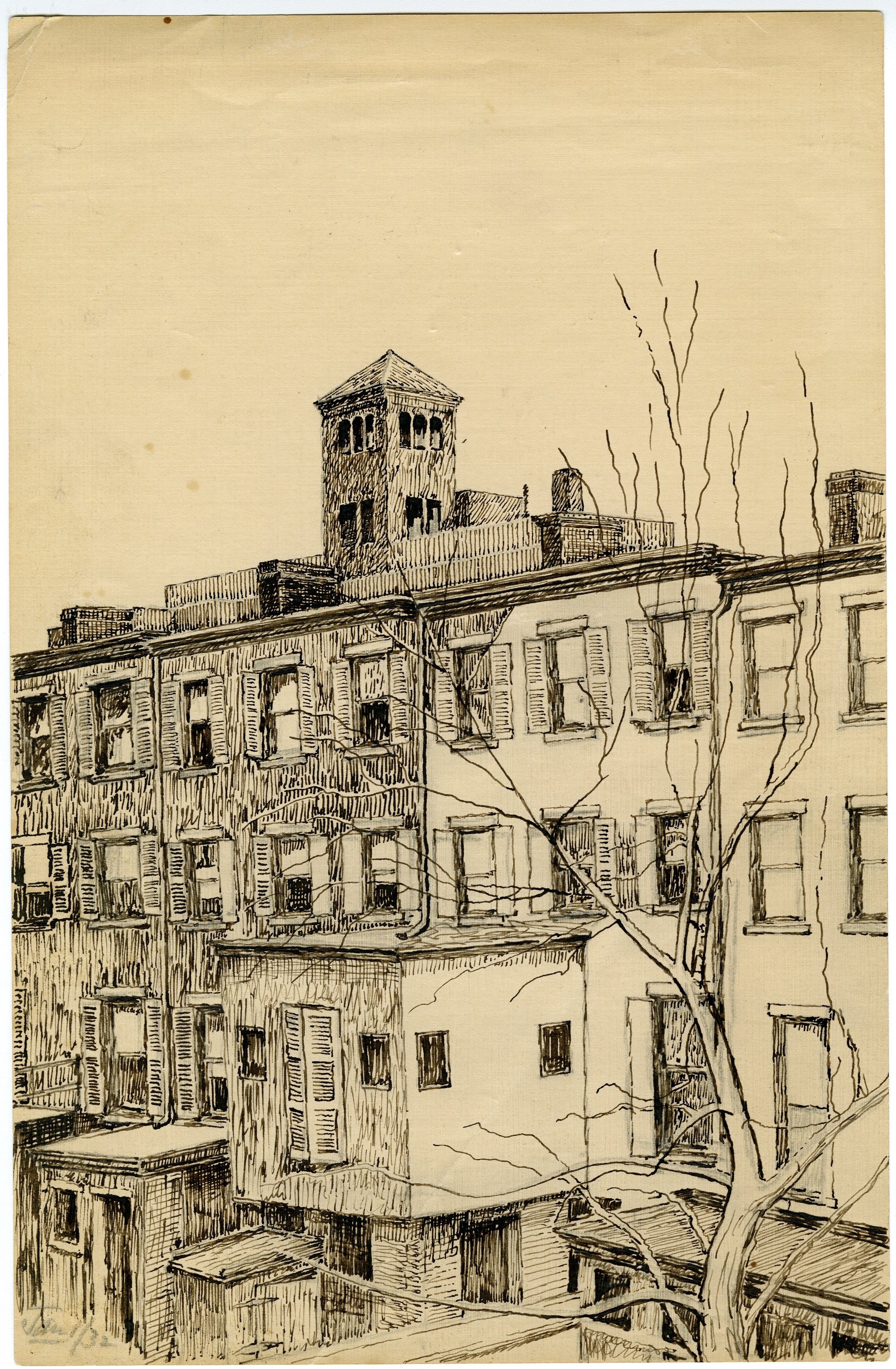 Pen drawing of four townhouses from the backyards with a bare tree in the foreground and church tower visible over the rooftops