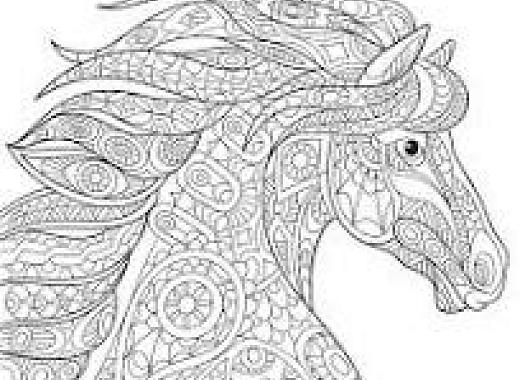 Coloring Brooklyn Public Library