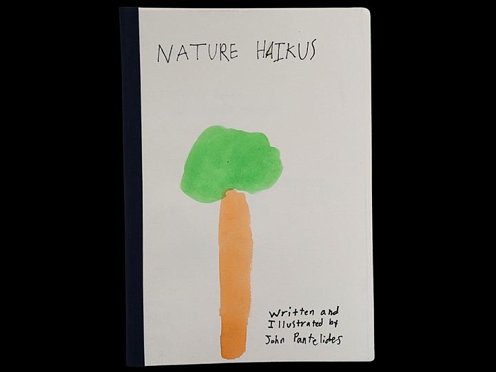 CITY HONOR: Nature Haikus, John Pantelidis