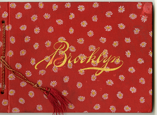 Cover of photo book, white daisies on red background with gilded title "Brooklyn"
