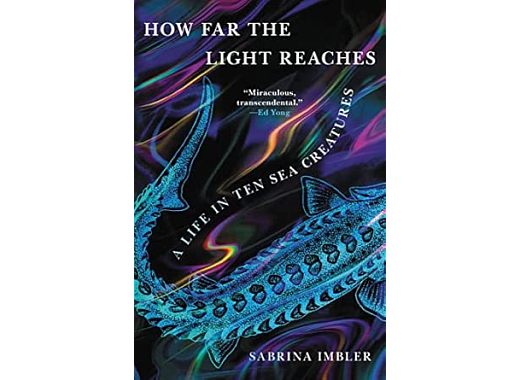 The cover of How Far the Light Reaches. The image is a close up of an indeterminate blue sea creature over a black background with iridescent colors. Sabrina Imbler's name is in the bottom right, and the title stretches across the top.