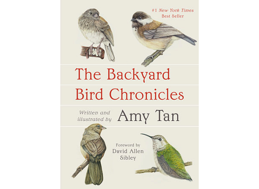 book cover with title in red and illustratoins of 4 small songbirds