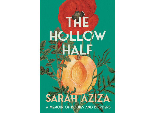 Hollow Half book cover