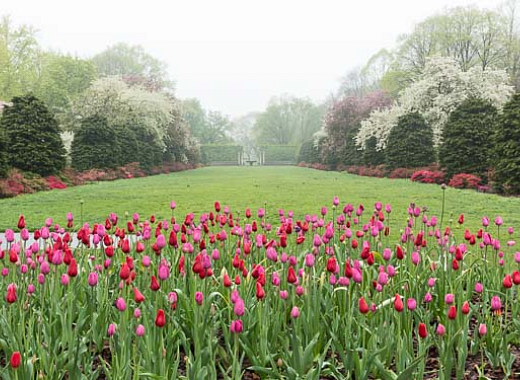 Spring
