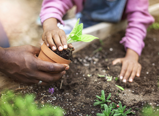 child gardening