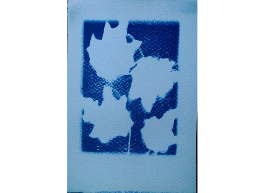 cyanotype for kids