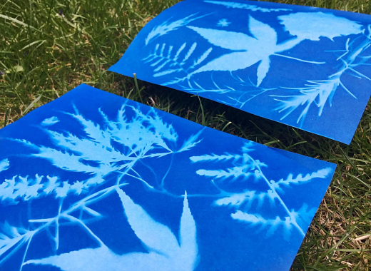 cyanotype