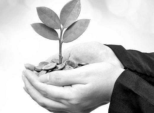 estate planning