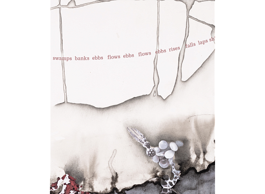 ghost coast cover image