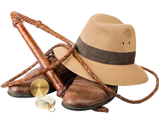 fedora/whip