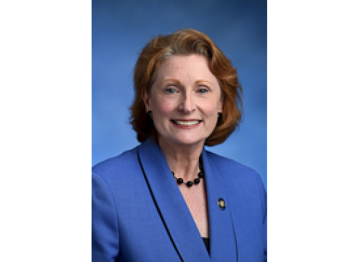 Jo Anne Simon