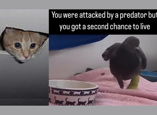 56_kindness_in_action_picture_2.png