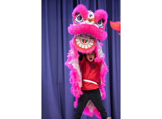 lion dance picture