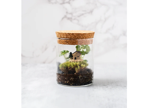 terrarium