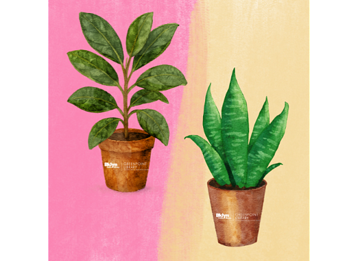 Two potted plants in the foreground, a pink and yellow background.