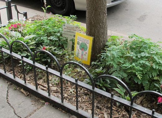 NYC street tree bed