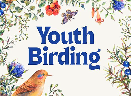 Youth Birding